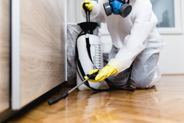 Best Wasp Removal Services  in Huntingtown, MD