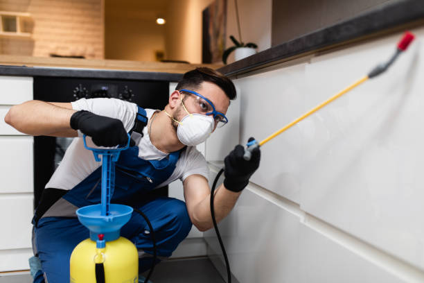Best Best Pest Control Companies  in Huntingtown, MD