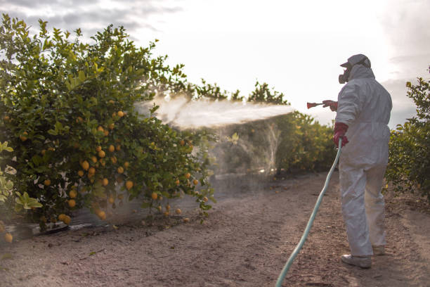 Best Best Pest Control Companies  in Huntingtown, MD