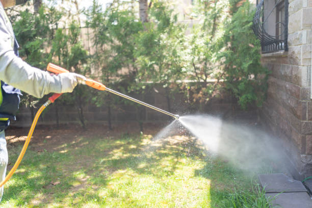 Best Pest Prevention Services  in Huntingtown, MD