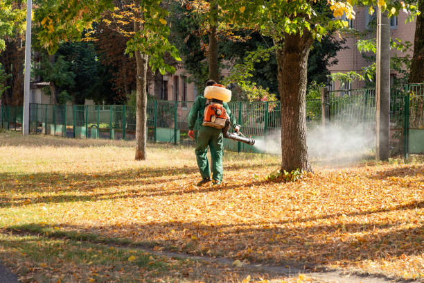 Best Pest Control for Homes  in Huntingtown, MD